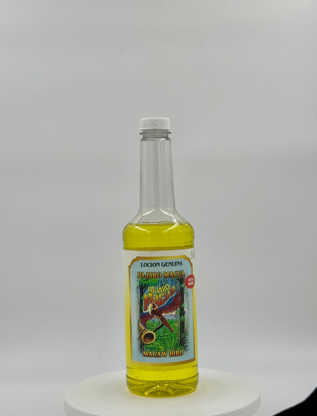 MACAW BIRD -Bath and Despojo