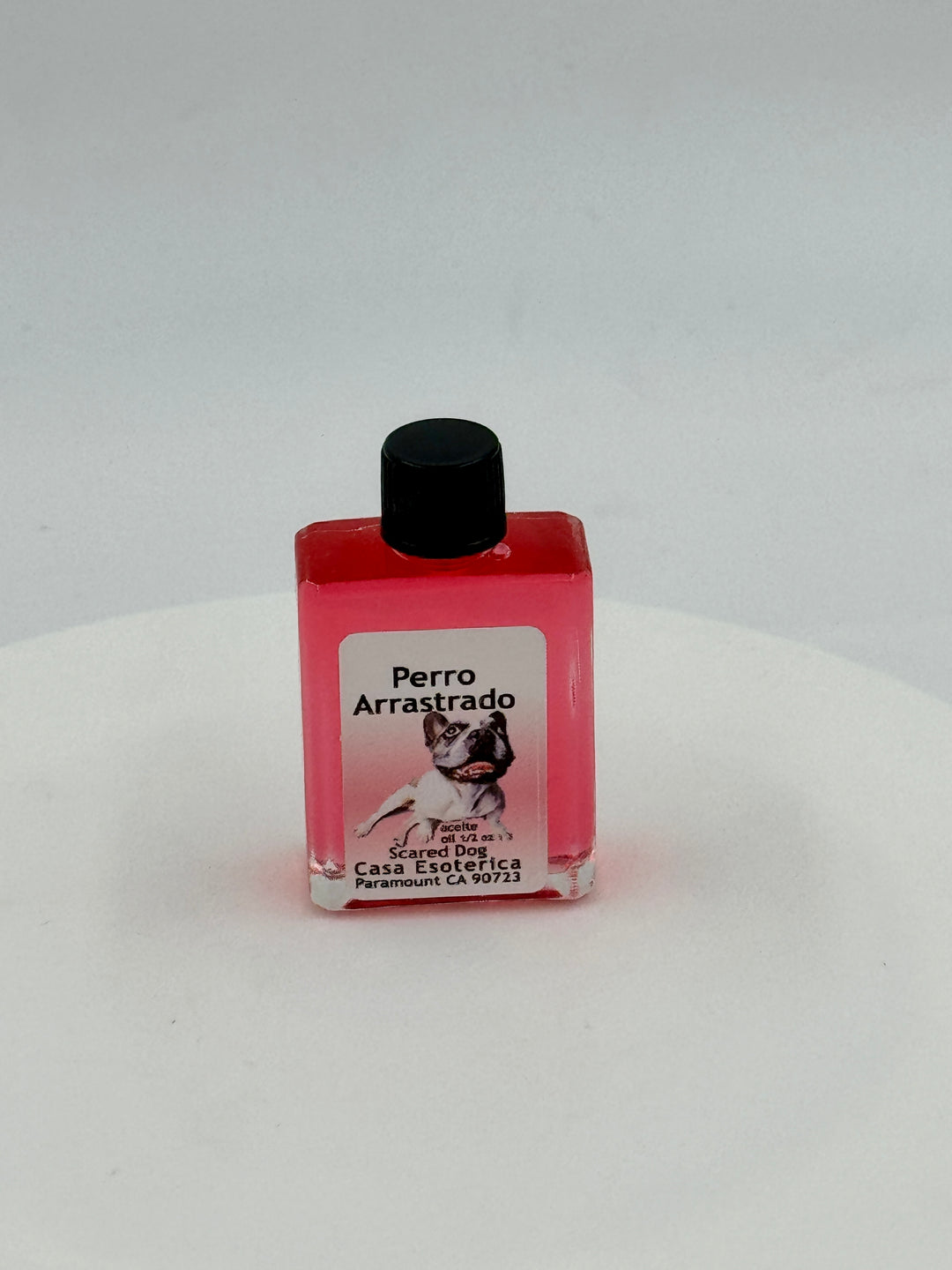 SCARED DOG (PERRO ARRASTRADO) -OIL/ACEITE