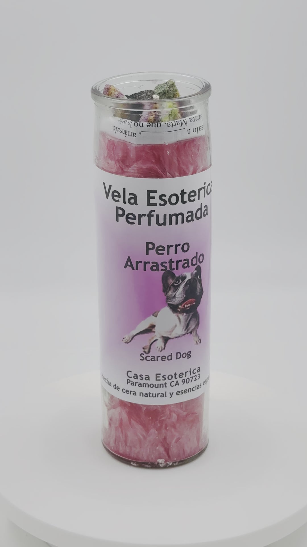 SCARED DOG (PERRO ARRASTRADO) -Palm Wax Candle/Vela